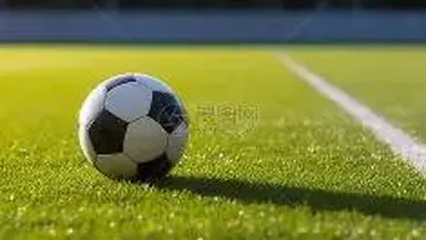 神殿娱乐 产品 024026 hv0